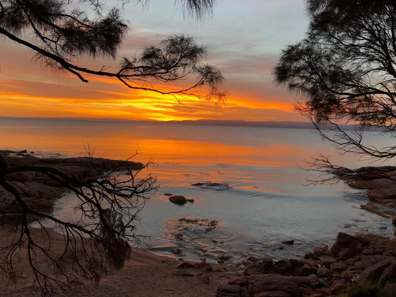 Beachcroft Coles Bay Dış mekan fotoğraf